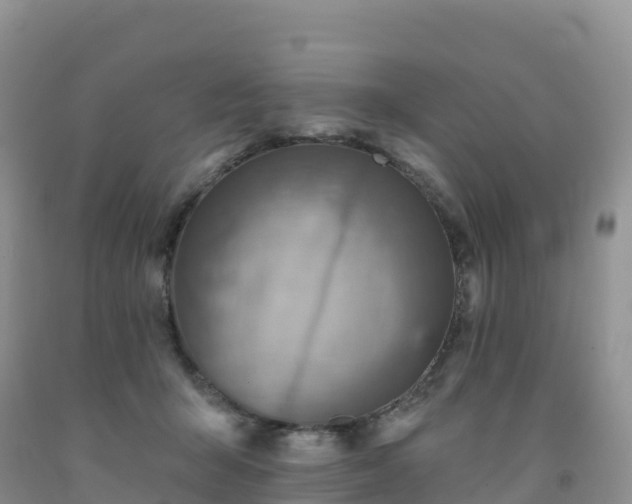 X0000092080415200709191229