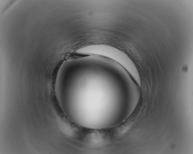 X0000092080416200709191229
