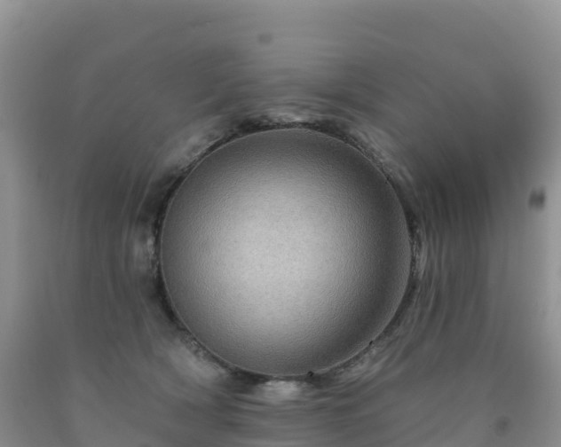 X0000092080418200709191229