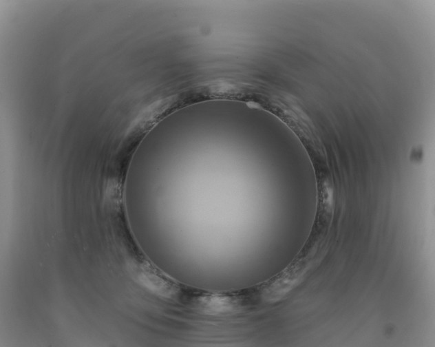 X0000092080419200709191229