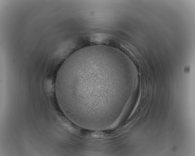 X0000092080420200709191229