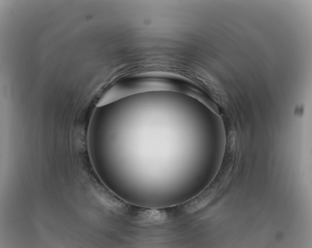 X0000092080421200709191228