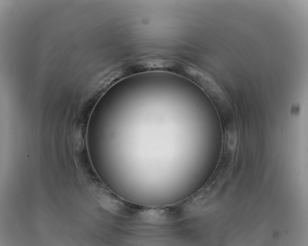 X0000092080422200709191228