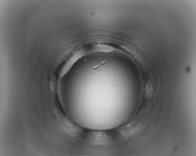 X0000092080424200709191228
