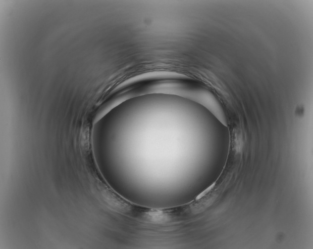 X0000092080425200709191228