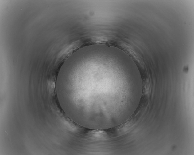 X0000092080427200709191228