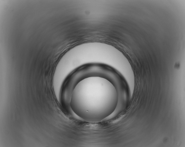 X0000092080428200709191228
