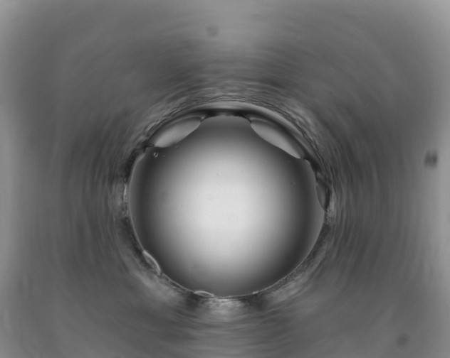 X0000092080429200709191228