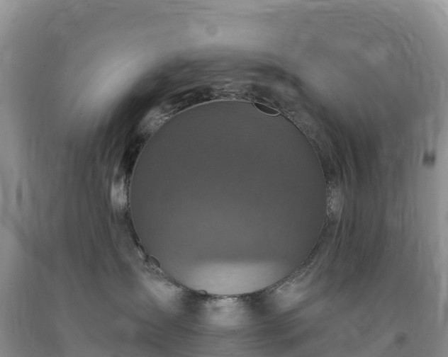 X0000092080431200709191228