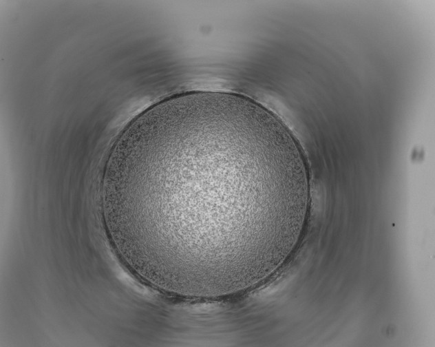 X0000092080433200709191228