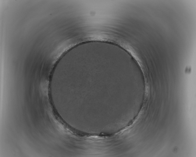 X0000092080434200709191228