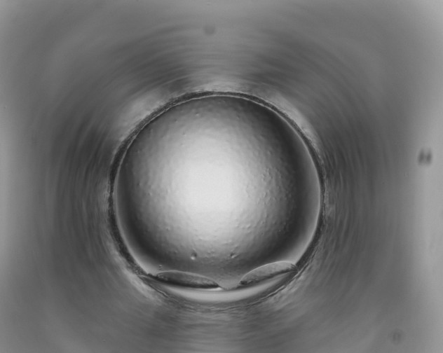 X0000092080437200709191228