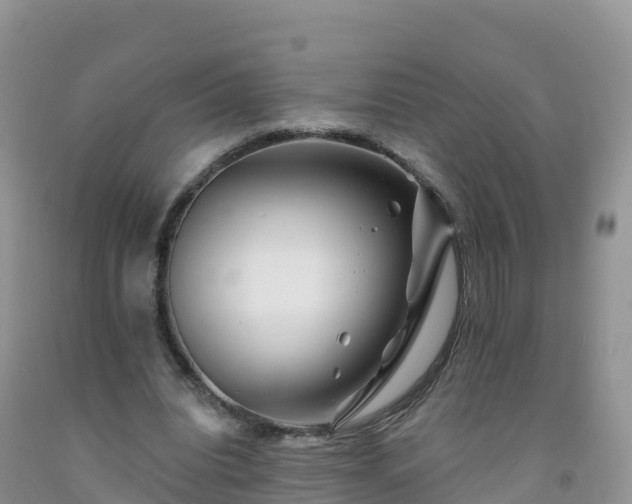 X0000092080440200709191228