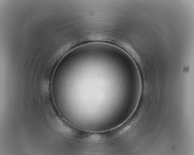 X0000092080441200709191228