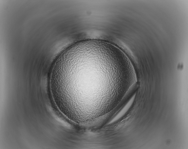 X0000092080442200709191228