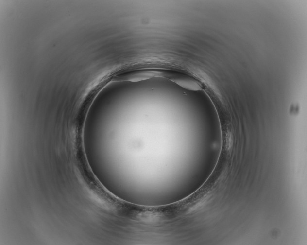 X0000092080444200709191228