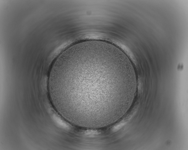 X0000092080445200709191228