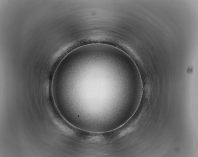 X0000092080446200709191228