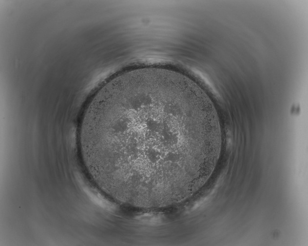X0000092080447200709191228