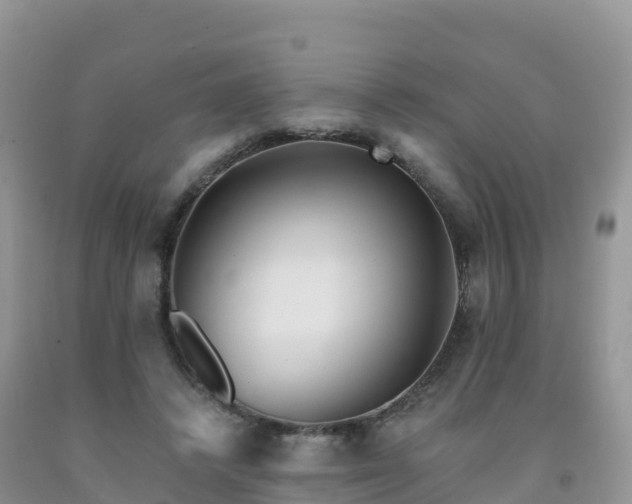 X0000092080448200709191228