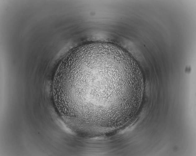 X0000092080449200709191228