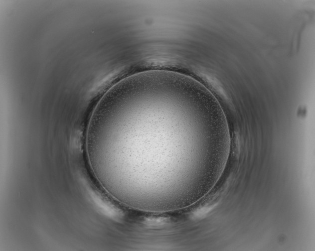 X0000092080450200709191228