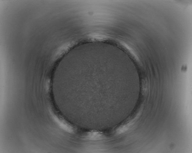 X0000092080451200709191228