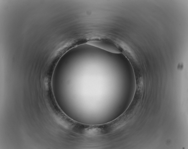 X0000092080452200709191228