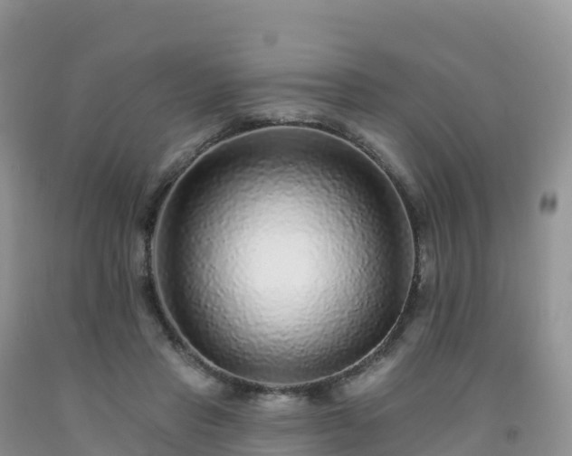 X0000092080453200709191228