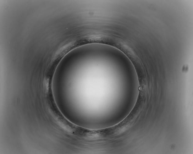 X0000092080454200709191228