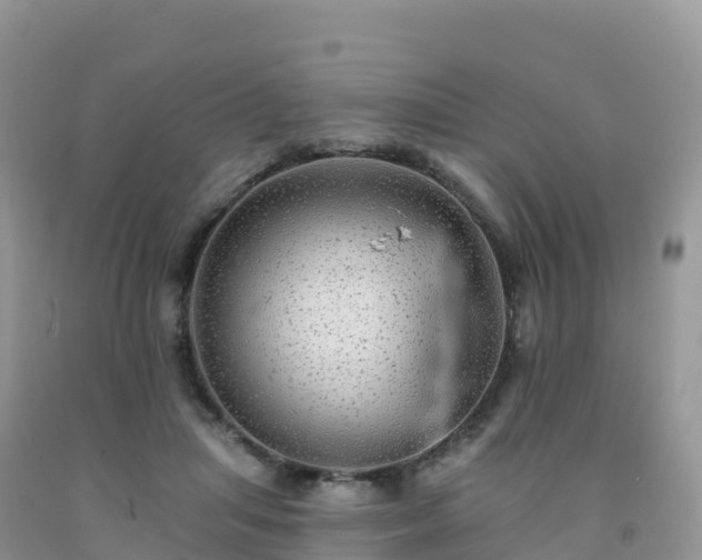 X0000092080455200709191228