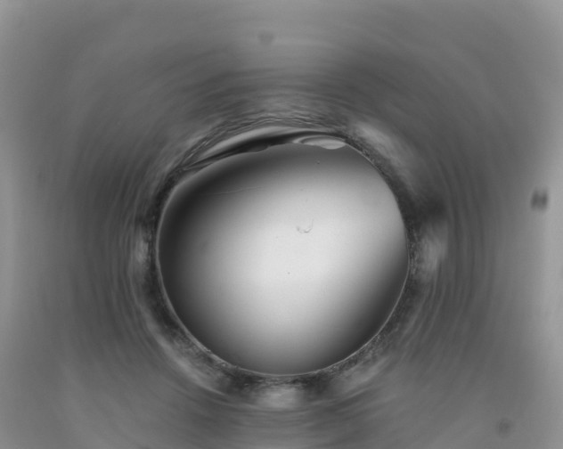 X0000092080456200709191228