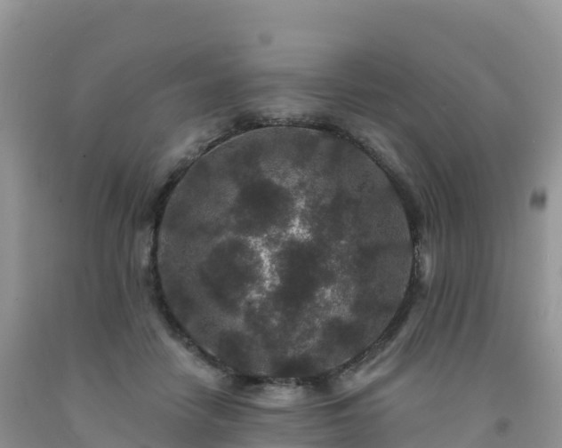 X0000092080458200709191228