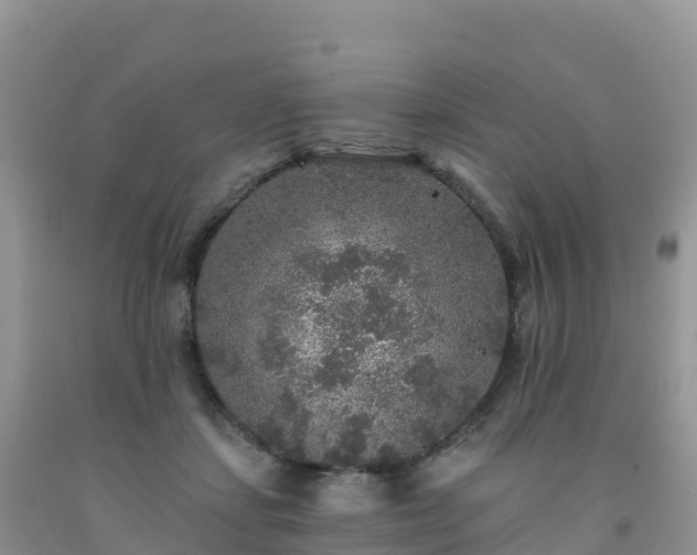 X0000092080459200709191228