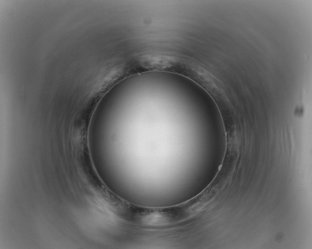 X0000092080460200709191228