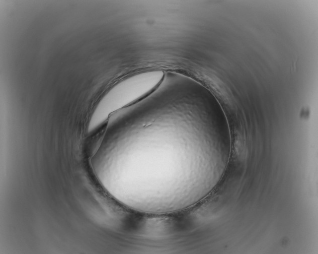 X0000092080461200709191228