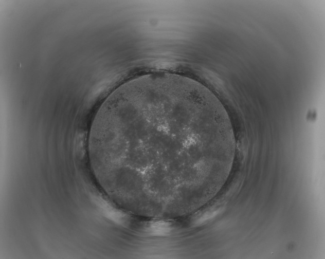 X0000092080462200709191228