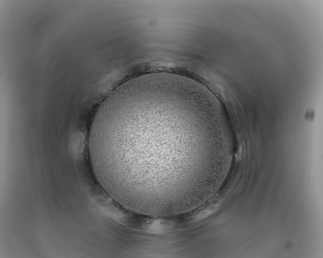 X0000092080463200709191228