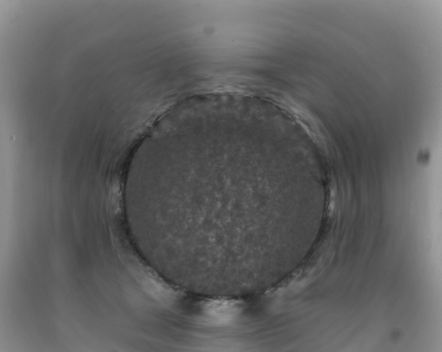 X0000092080465200709191228