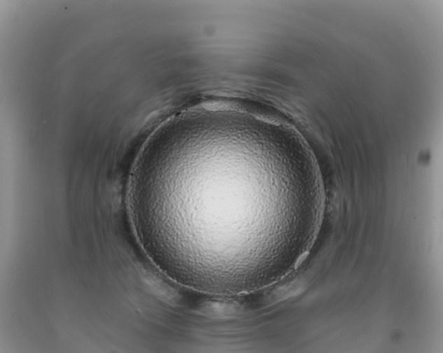 X0000092080466200709191228