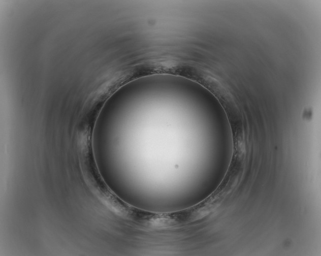 X0000092080468200709191228