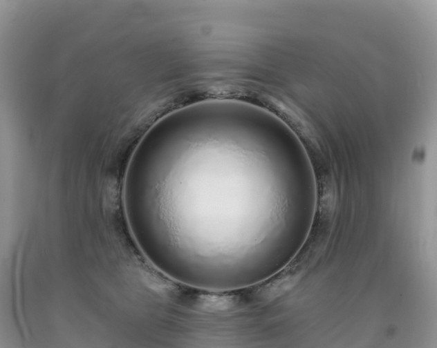 X0000092080469200709191228