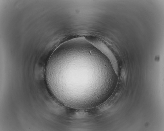 X0000092080470200709191228