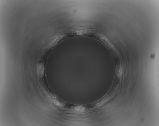 X0000092080471200709191228