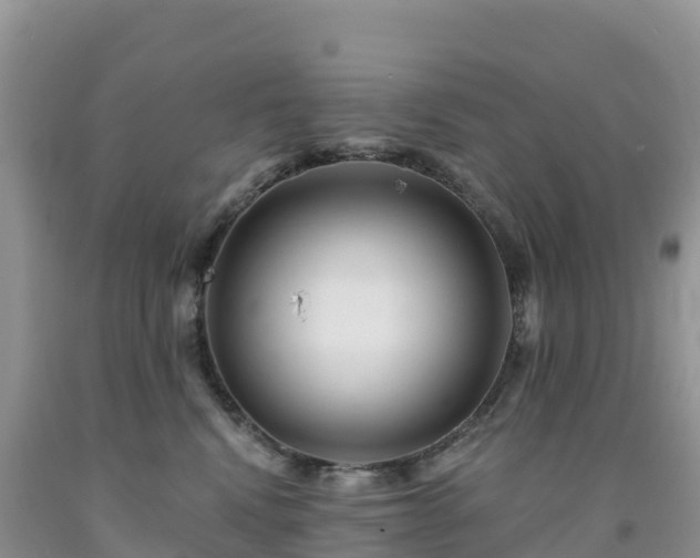 X0000092080472200709191228