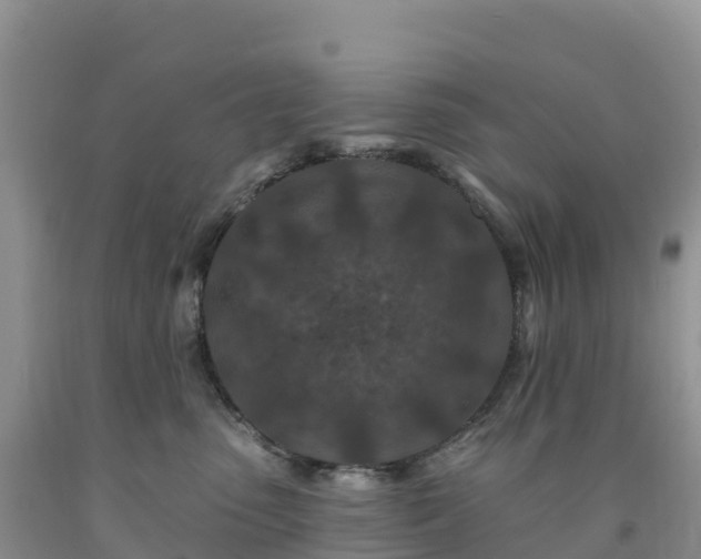 X0000092080475200709191228