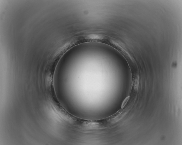 X0000092080476200709191228