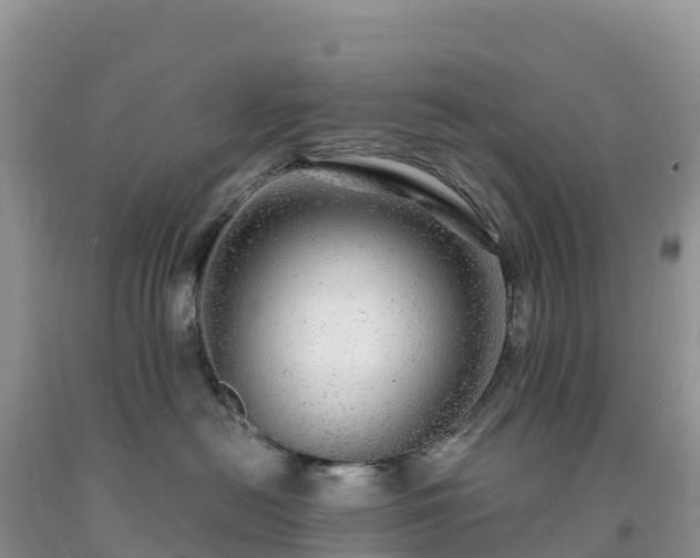 X0000092080478200709191228