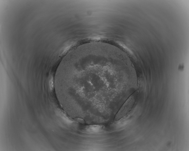 X0000092080479200709191228