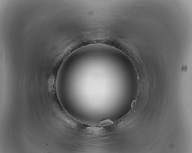 X0000092080480200709191228